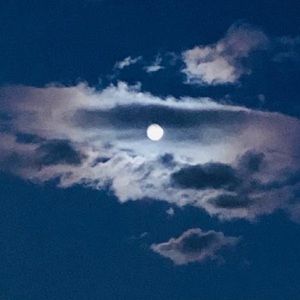 Meet your Posher, Sheri